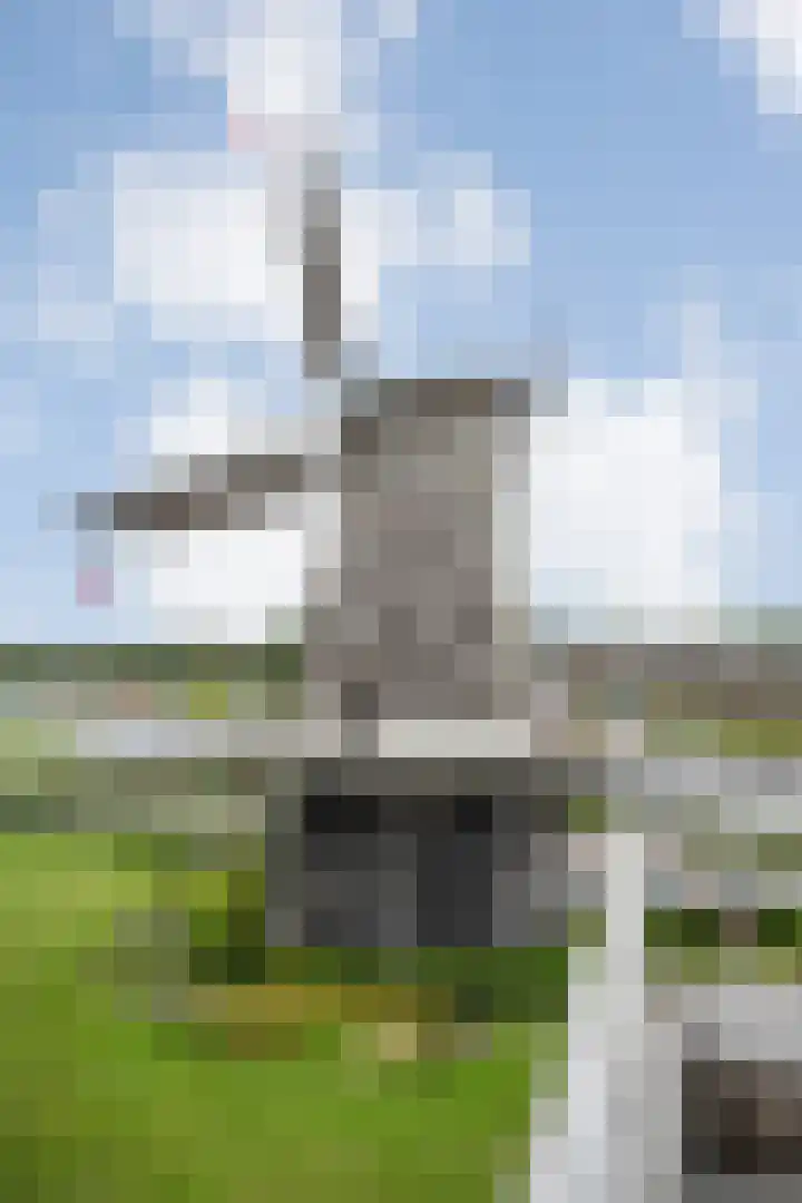 Molenerf 43 Ommen thumbnail 13