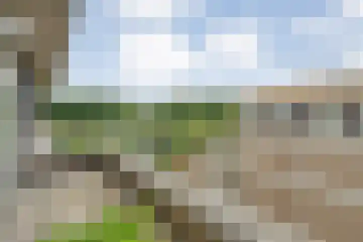 Molenerf 43 Ommen thumbnail 14
