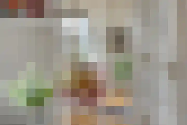 Molenerf 43 Ommen thumbnail 15