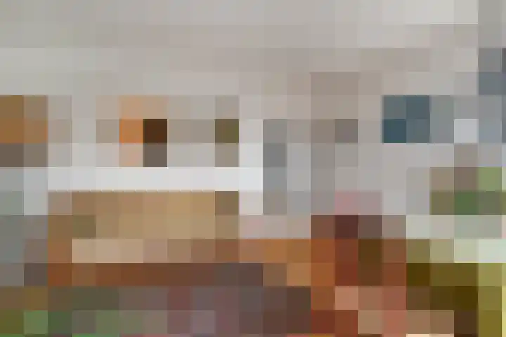 Molenerf 43 Ommen thumbnail 16