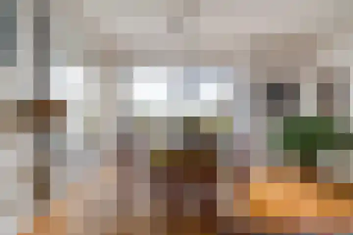 Molenerf 43 Ommen thumbnail 17