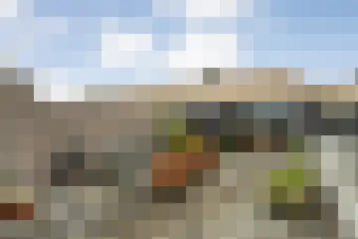 Molenerf 43 Ommen thumbnail 18