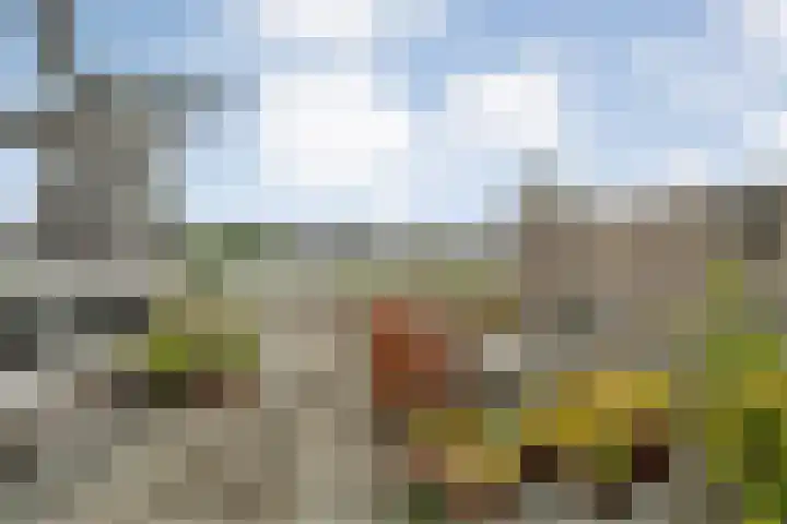 Molenerf 43 Ommen thumbnail 19