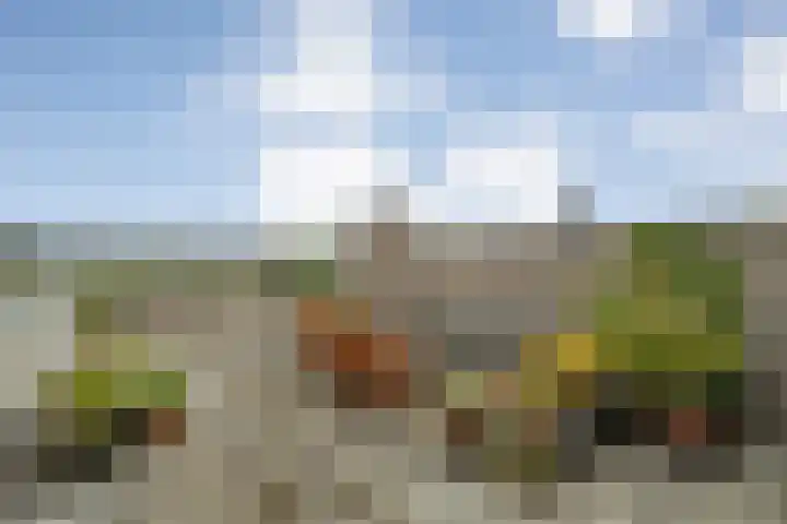 Molenerf 43 Ommen thumbnail 20
