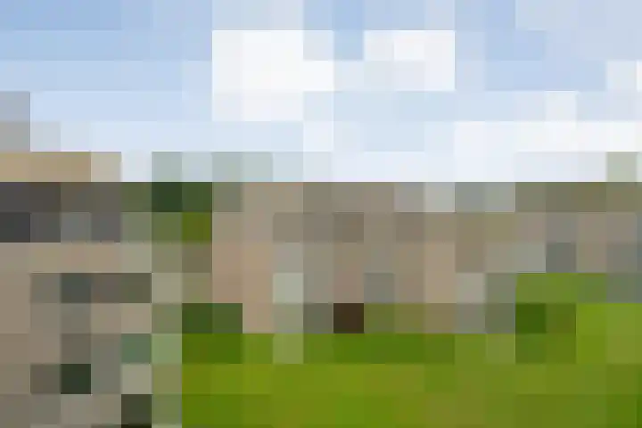 Molenerf 43 Ommen thumbnail 21