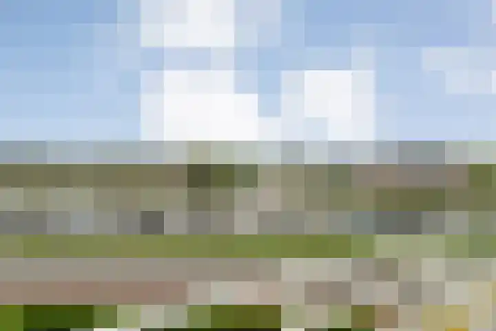 Molenerf 43 Ommen thumbnail 22