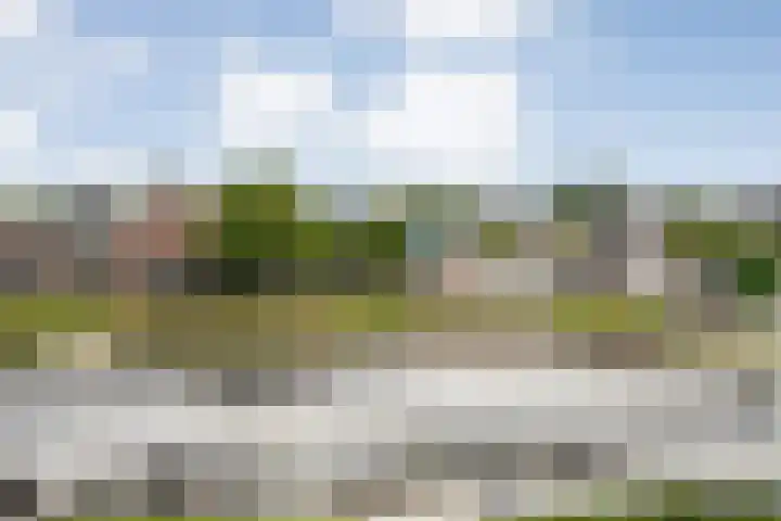 Molenerf 43 Ommen thumbnail 23