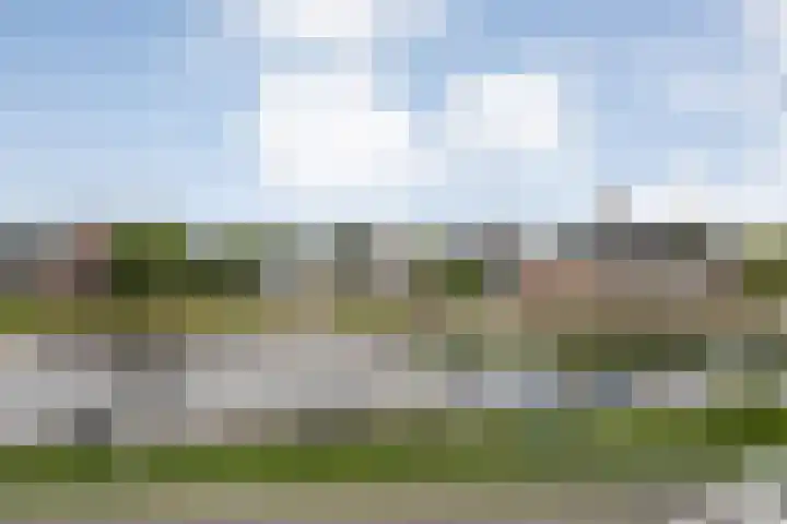 Molenerf 43 Ommen thumbnail 24