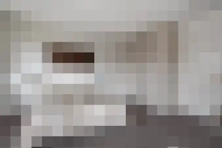 Molenerf 43 Ommen thumbnail 29