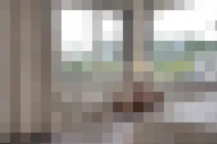 Molenerf 43 Ommen thumbnail 30