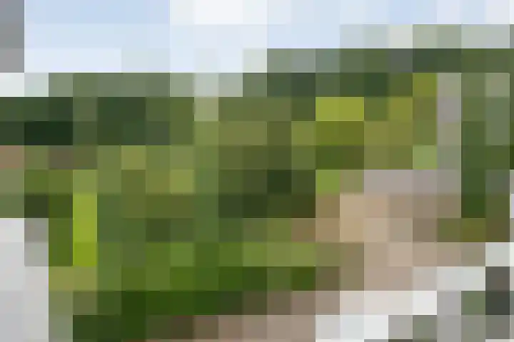 Molenerf 43 Ommen thumbnail 31