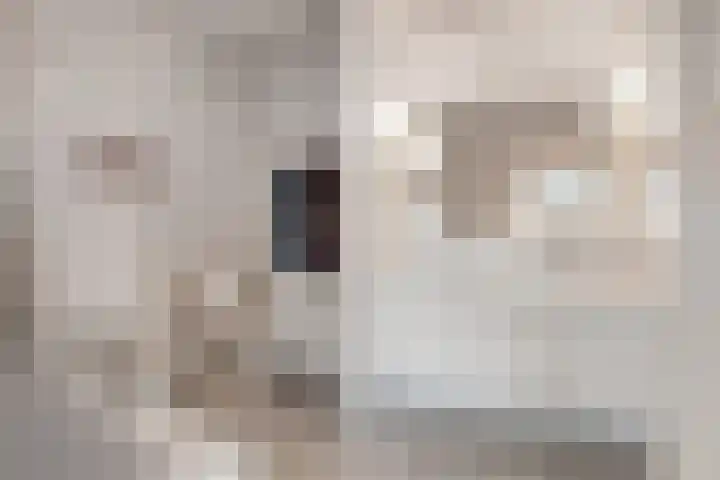 Molenerf 43 Ommen thumbnail 33