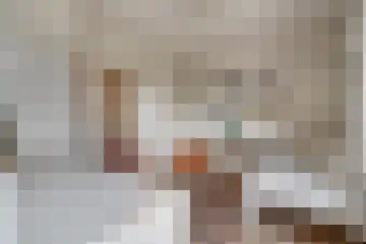 Molenerf 43 Ommen thumbnail 34