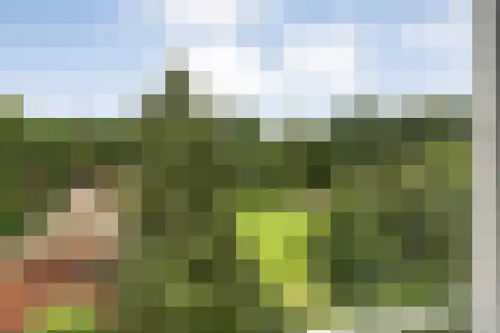 Molenerf 43 Ommen thumbnail 36