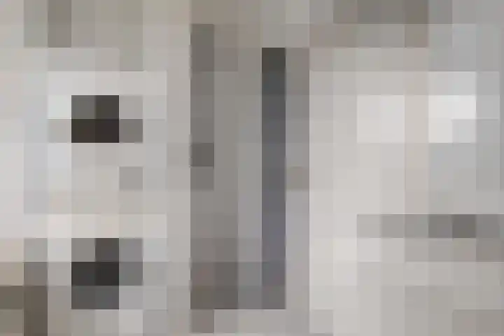 Molenerf 43 Ommen thumbnail 37