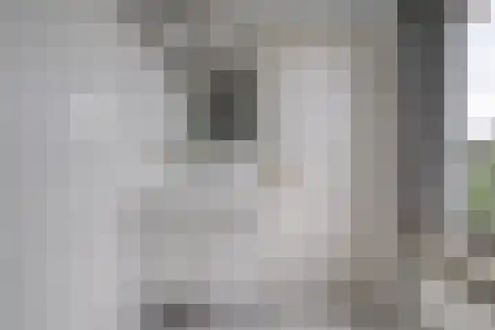 Molenerf 43 Ommen thumbnail 38