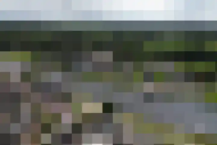 Molenerf 43 Ommen thumbnail 4