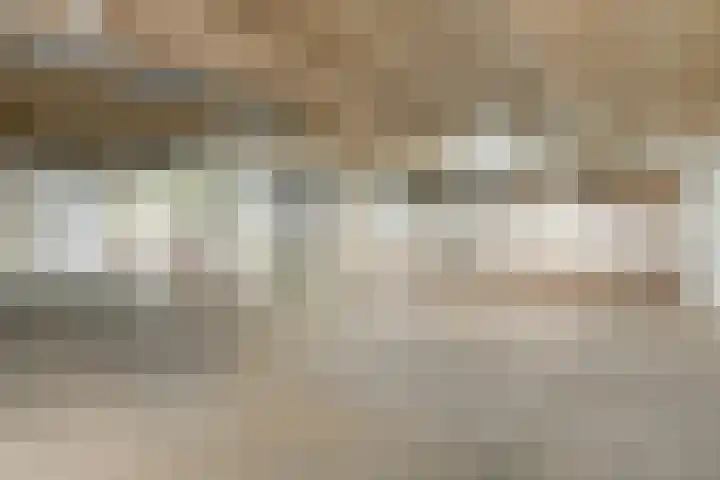 Molenerf 43 Ommen thumbnail 47