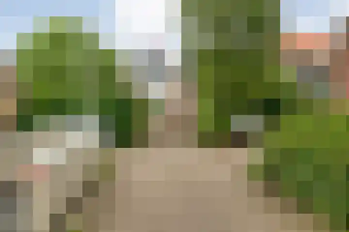 Molenerf 43 Ommen thumbnail 49