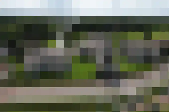 Molenerf 43 Ommen thumbnail 5