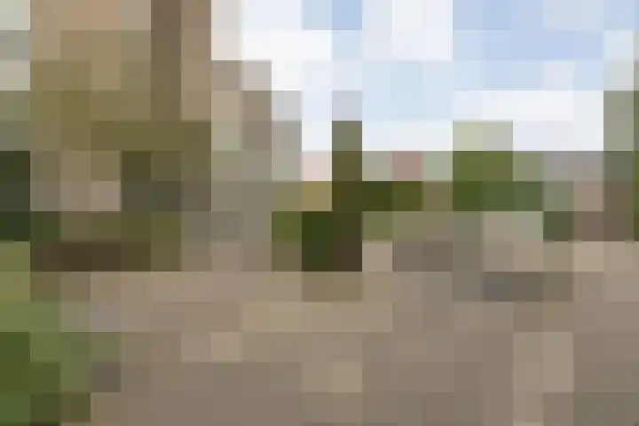Molenerf 43 Ommen thumbnail 50