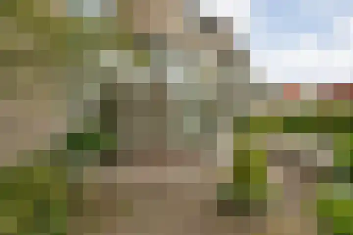 Molenerf 43 Ommen thumbnail 51