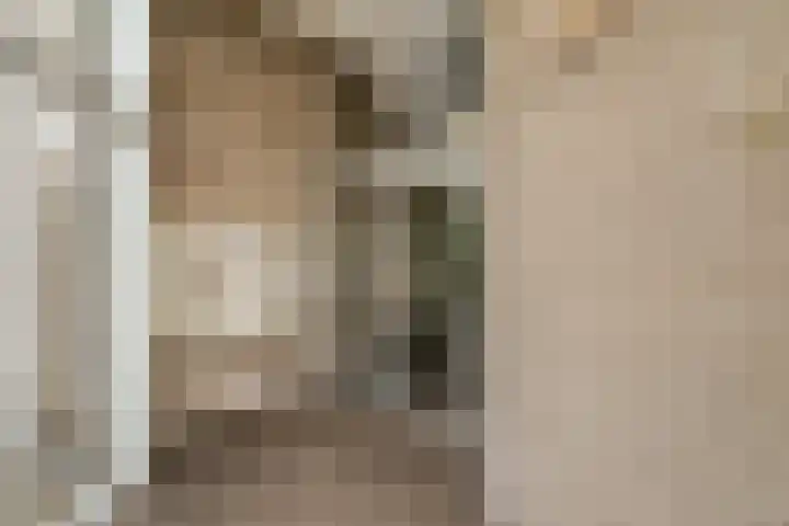 Molenerf 43 Ommen thumbnail 52