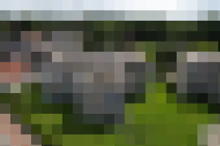 Molenerf 43 Ommen thumbnail 6