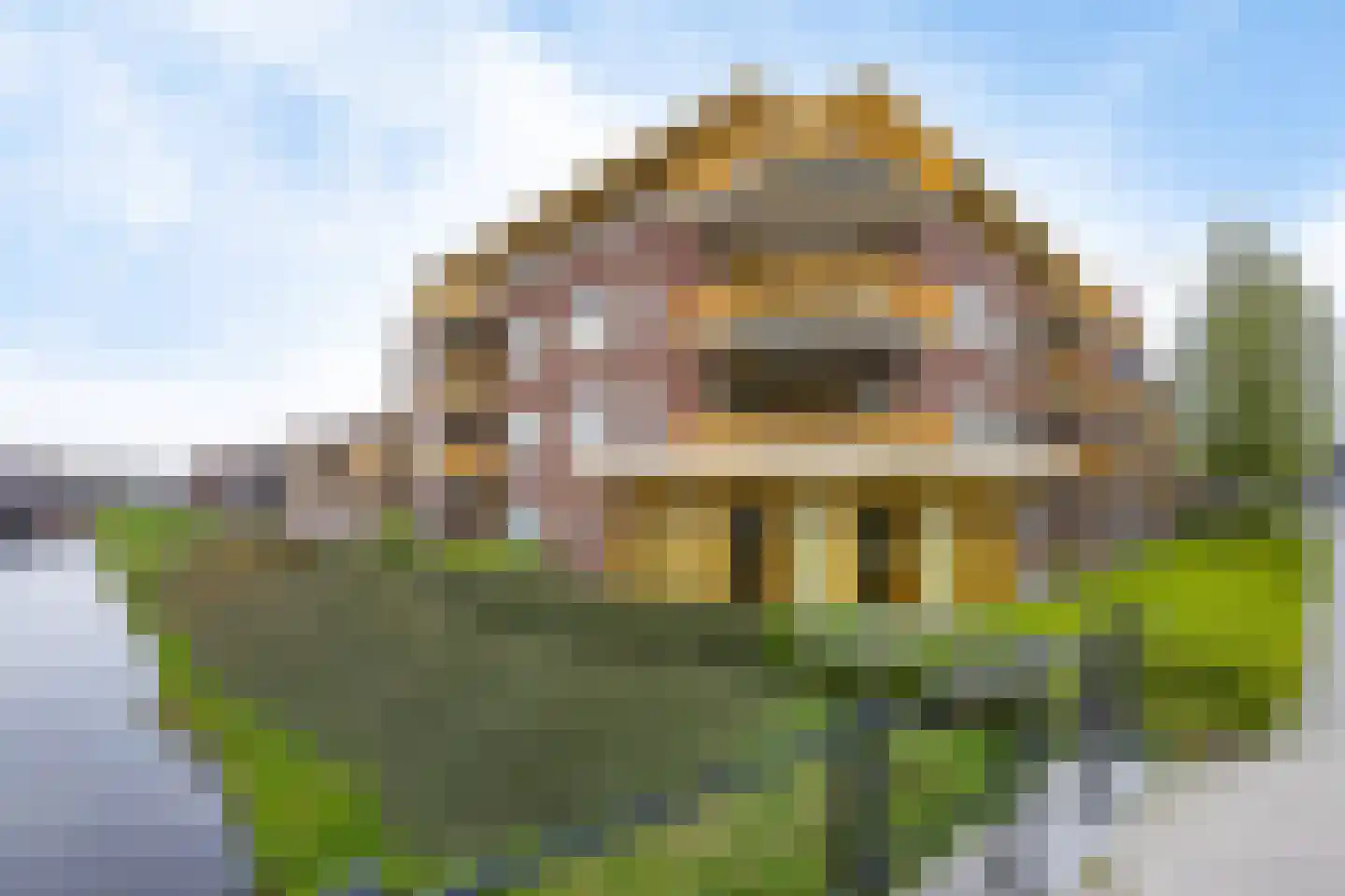 Molenerf 90 Uithuizen thumbnail 28