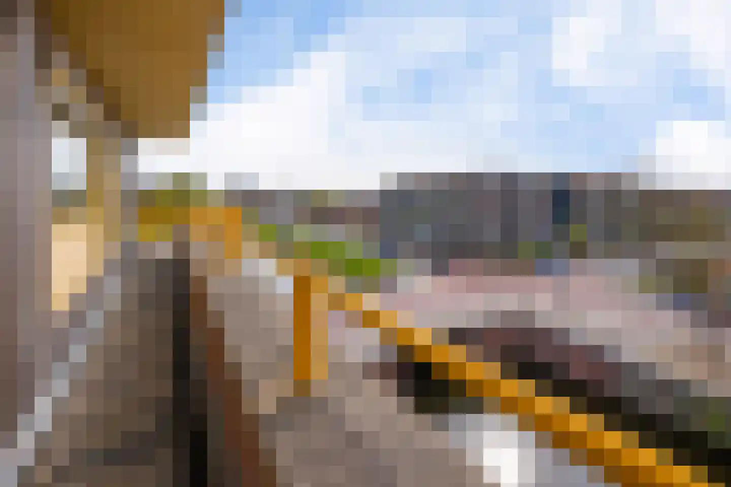 Molenerf 90 Uithuizen thumbnail 31