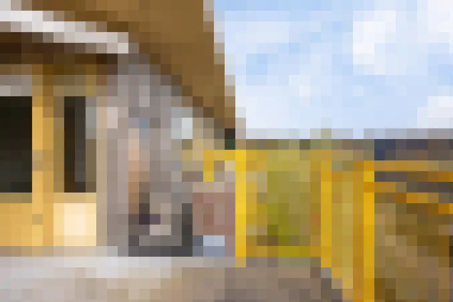 Molenerf 90 Uithuizen thumbnail 34