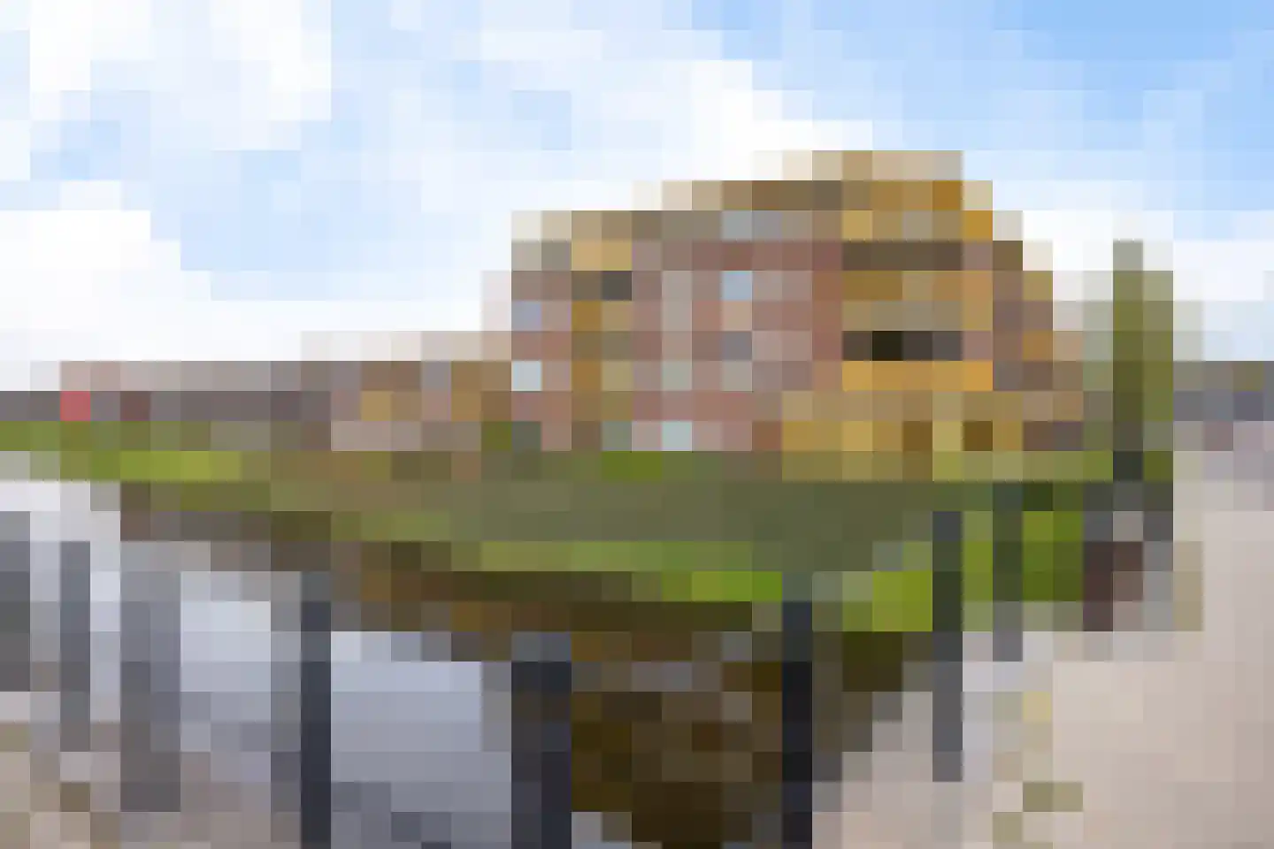 Molenerf 90 Uithuizen thumbnail 4