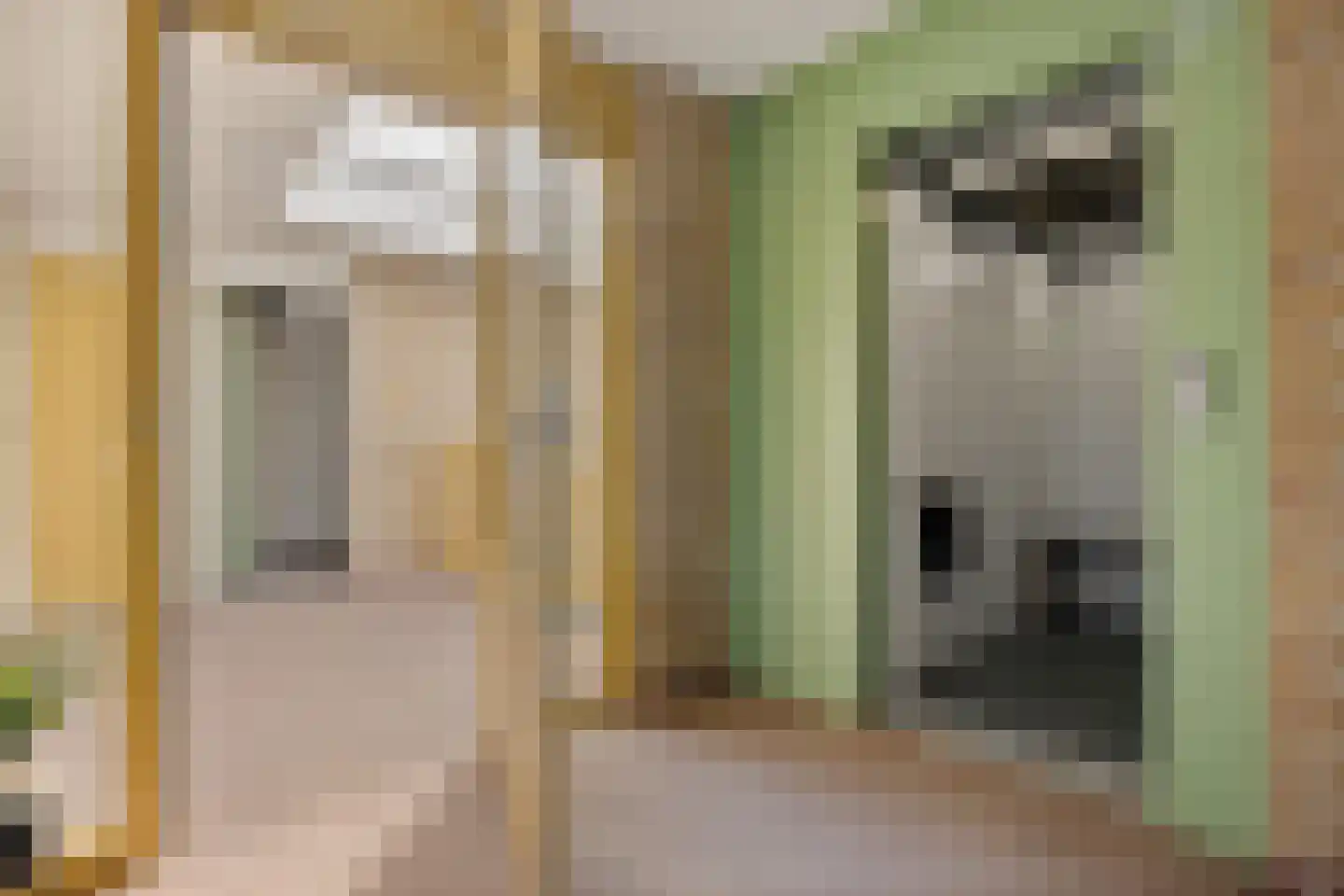 Molenerf 90 Uithuizen thumbnail 40