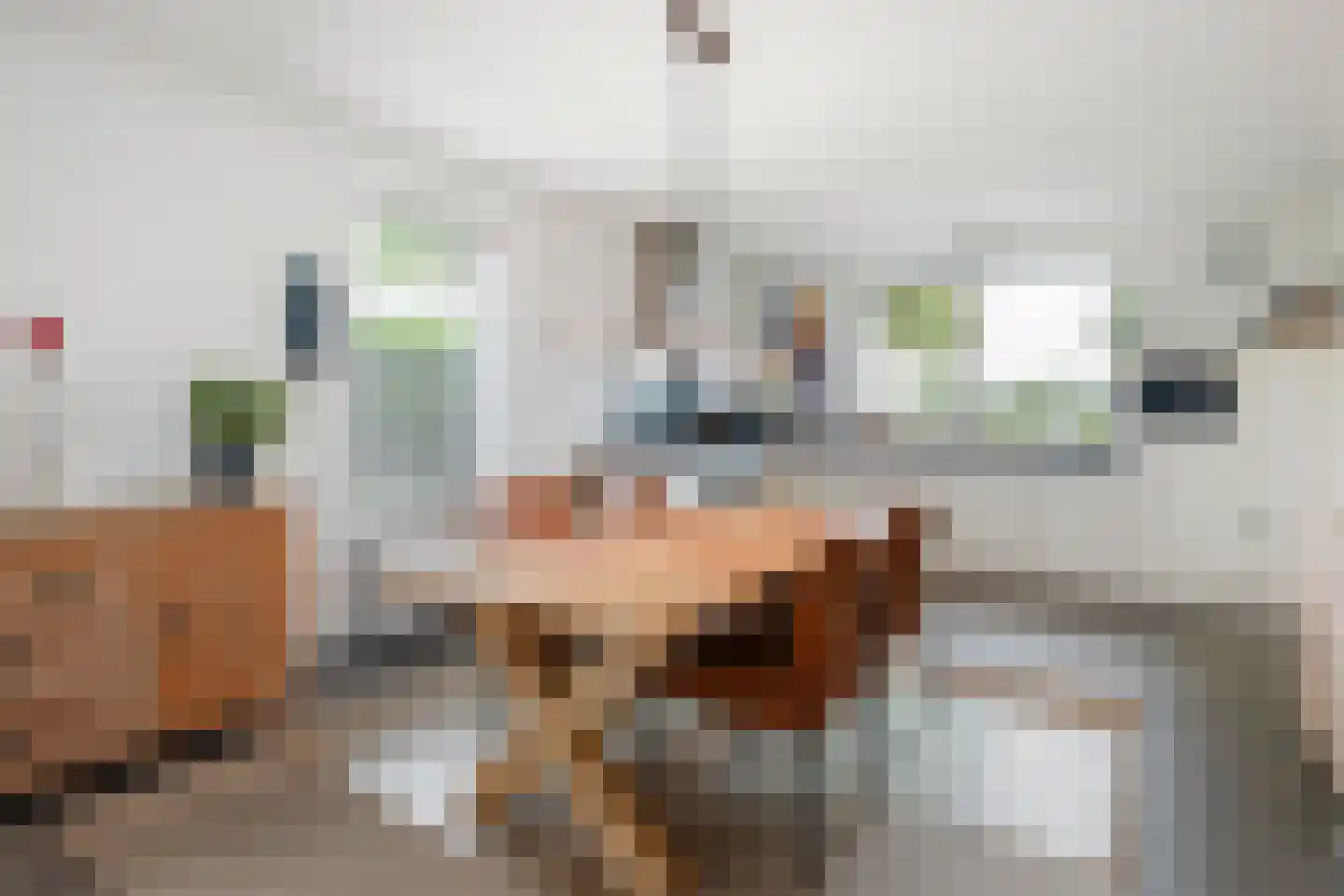 Molenerven 13 Lierderholthuis thumbnail 11