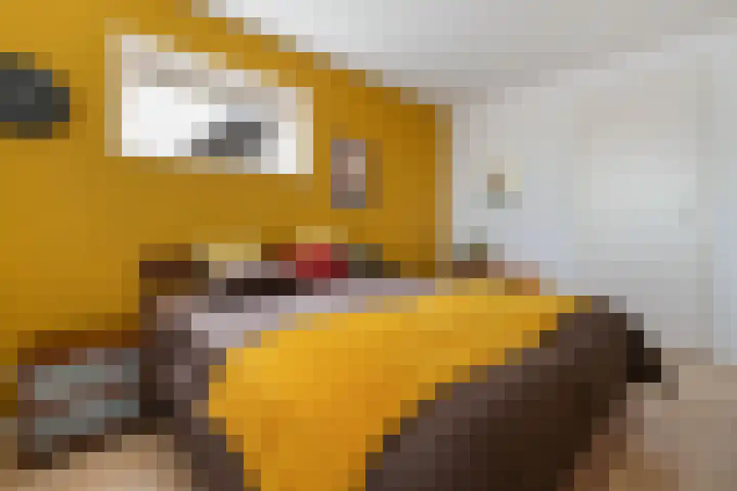 Molenerven 13 Lierderholthuis thumbnail 14
