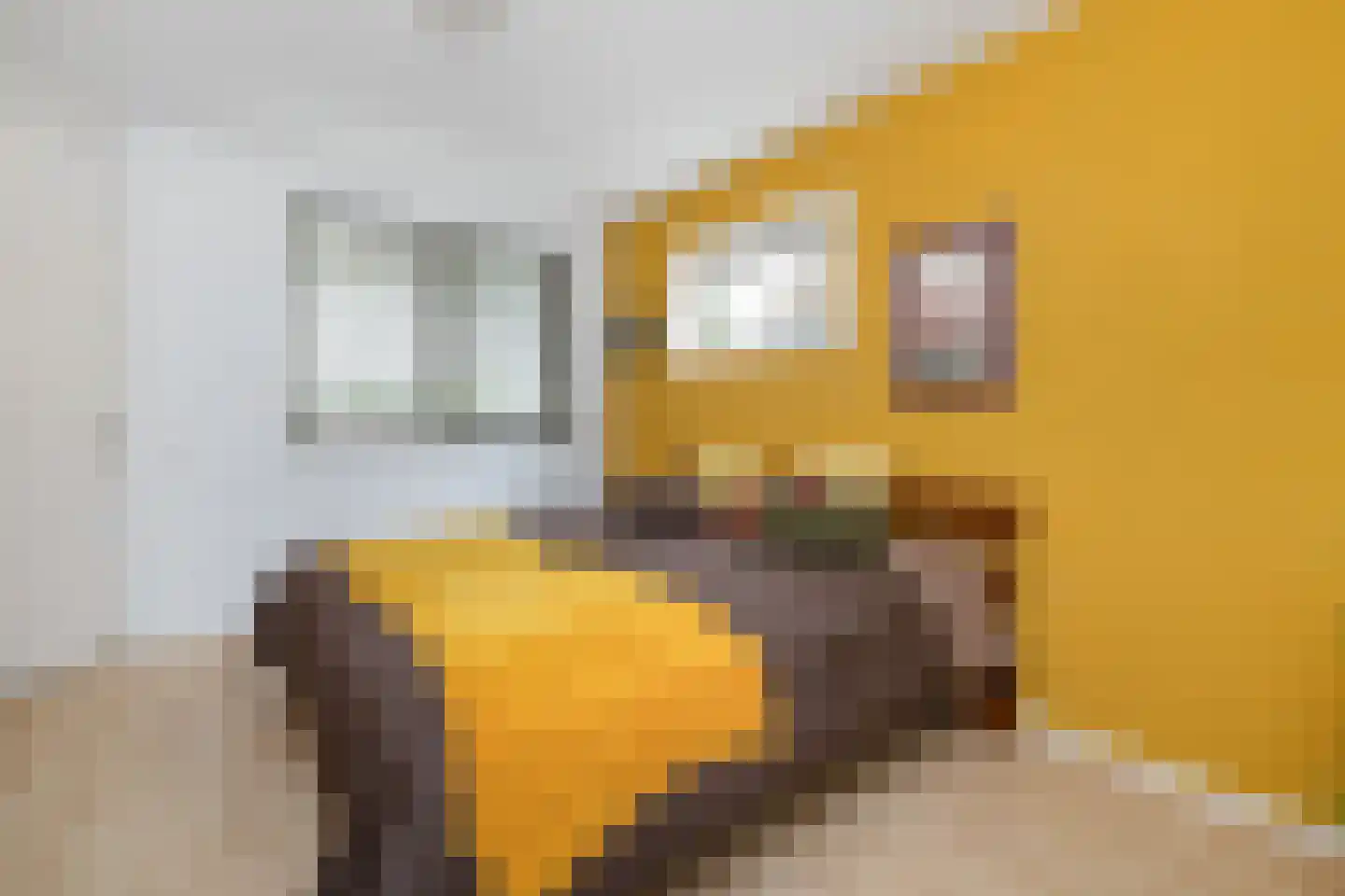 Molenerven 13 Lierderholthuis thumbnail 15