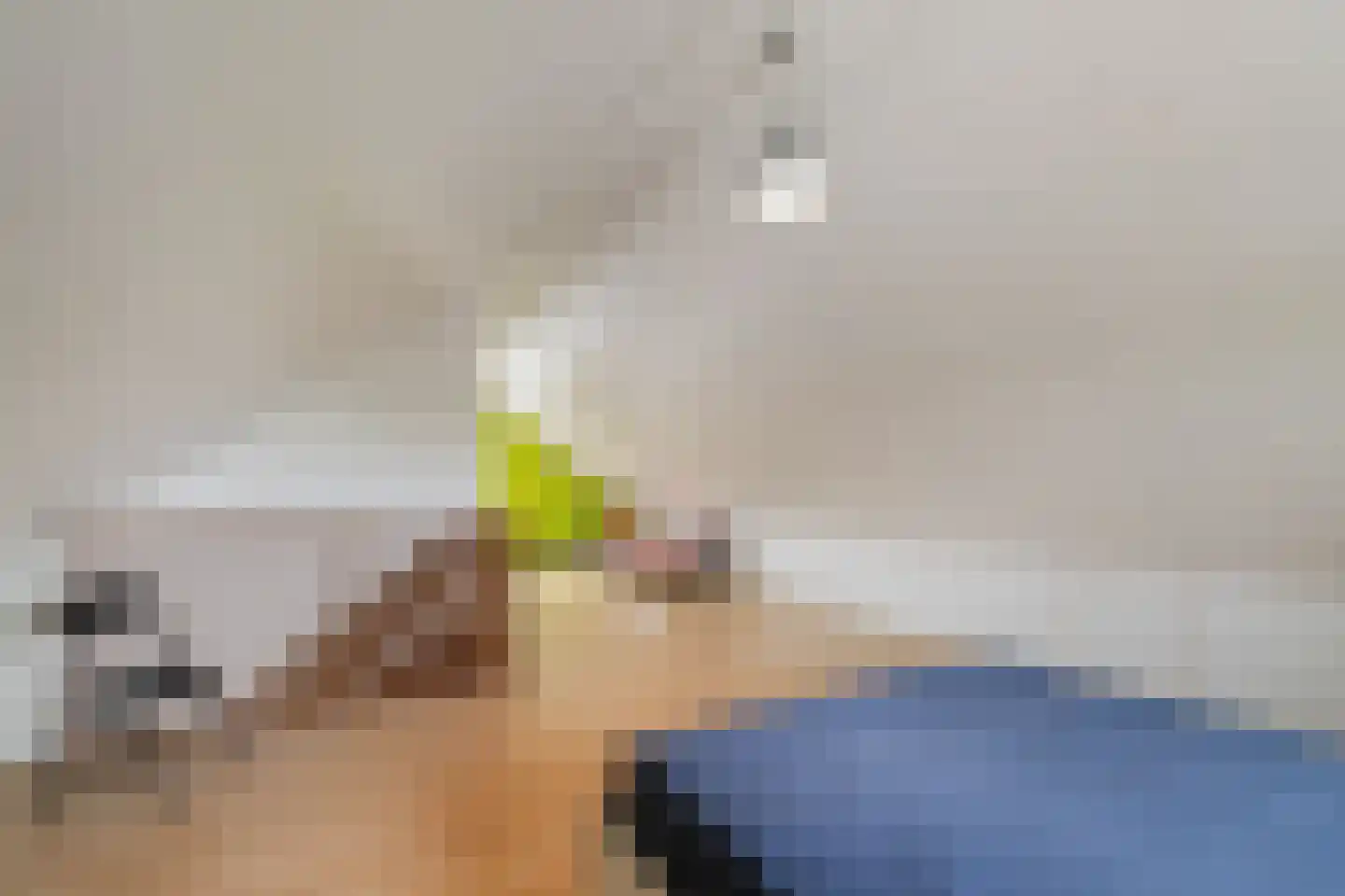 Molenerven 13 Lierderholthuis thumbnail 30