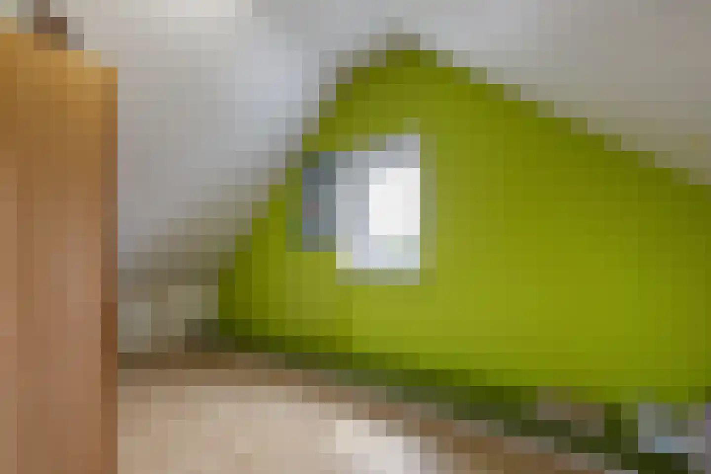 Molenerven 13 Lierderholthuis thumbnail 32