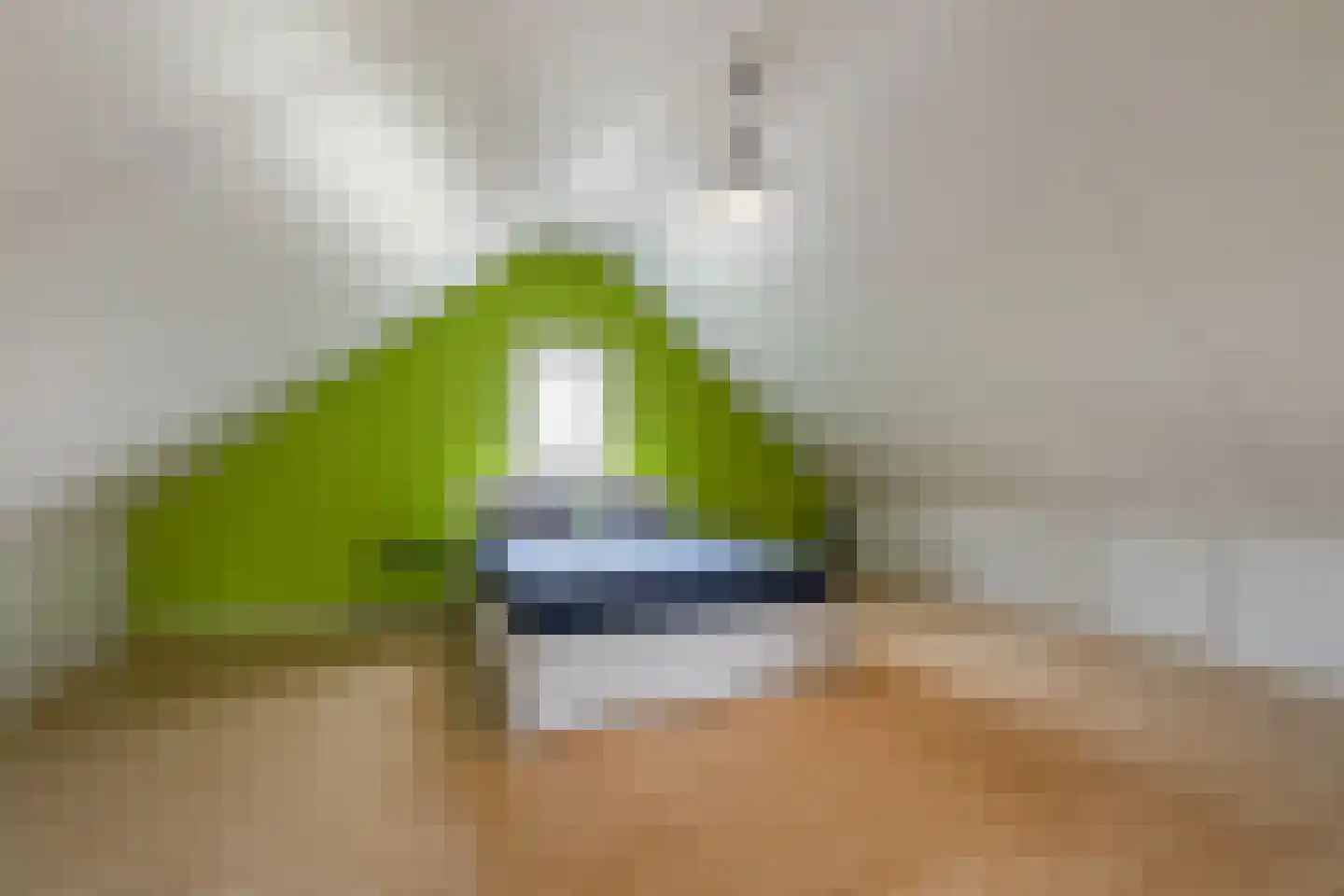 Molenerven 13 Lierderholthuis thumbnail 33