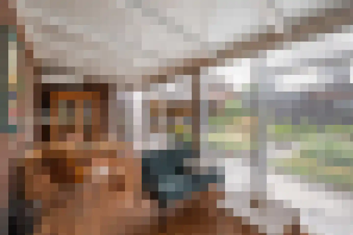 Molenerven 13 Lierderholthuis thumbnail 34