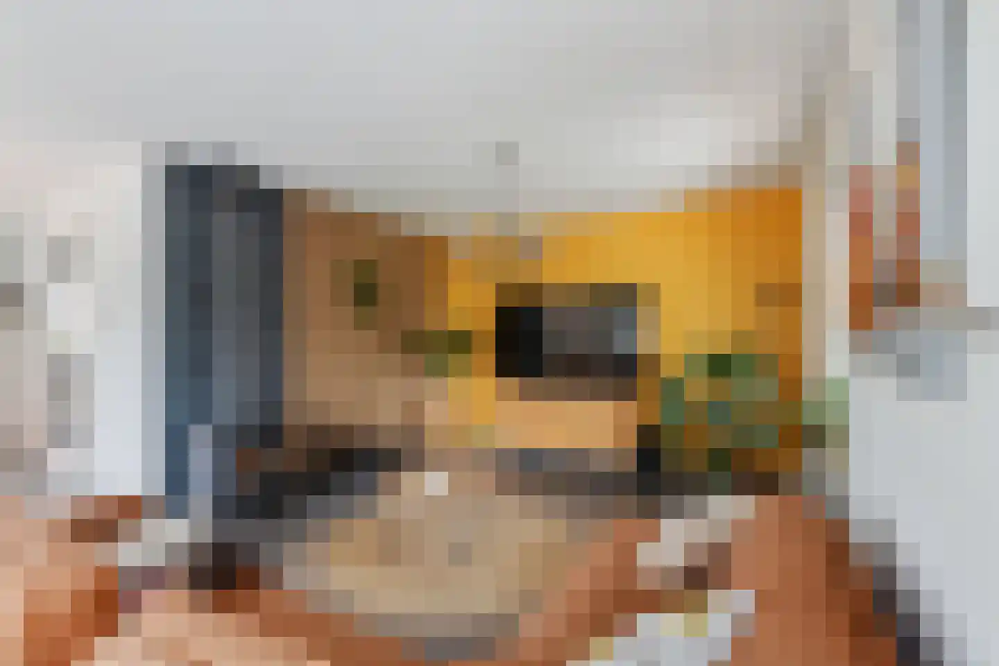 Molenerven 13 Lierderholthuis thumbnail 4
