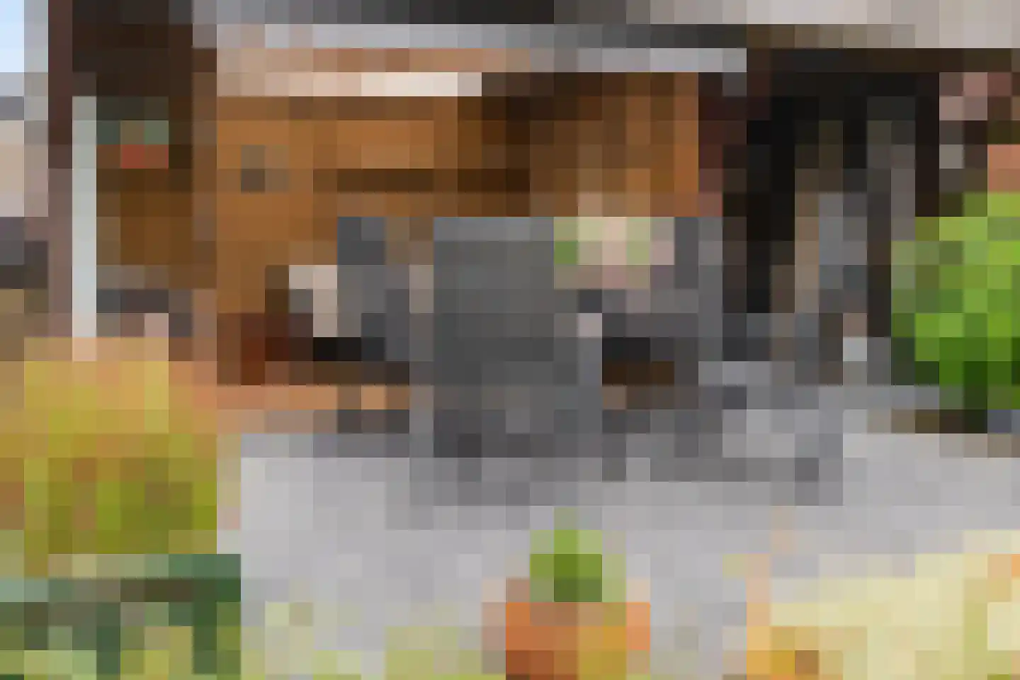 Molenerven 13 Lierderholthuis thumbnail 42