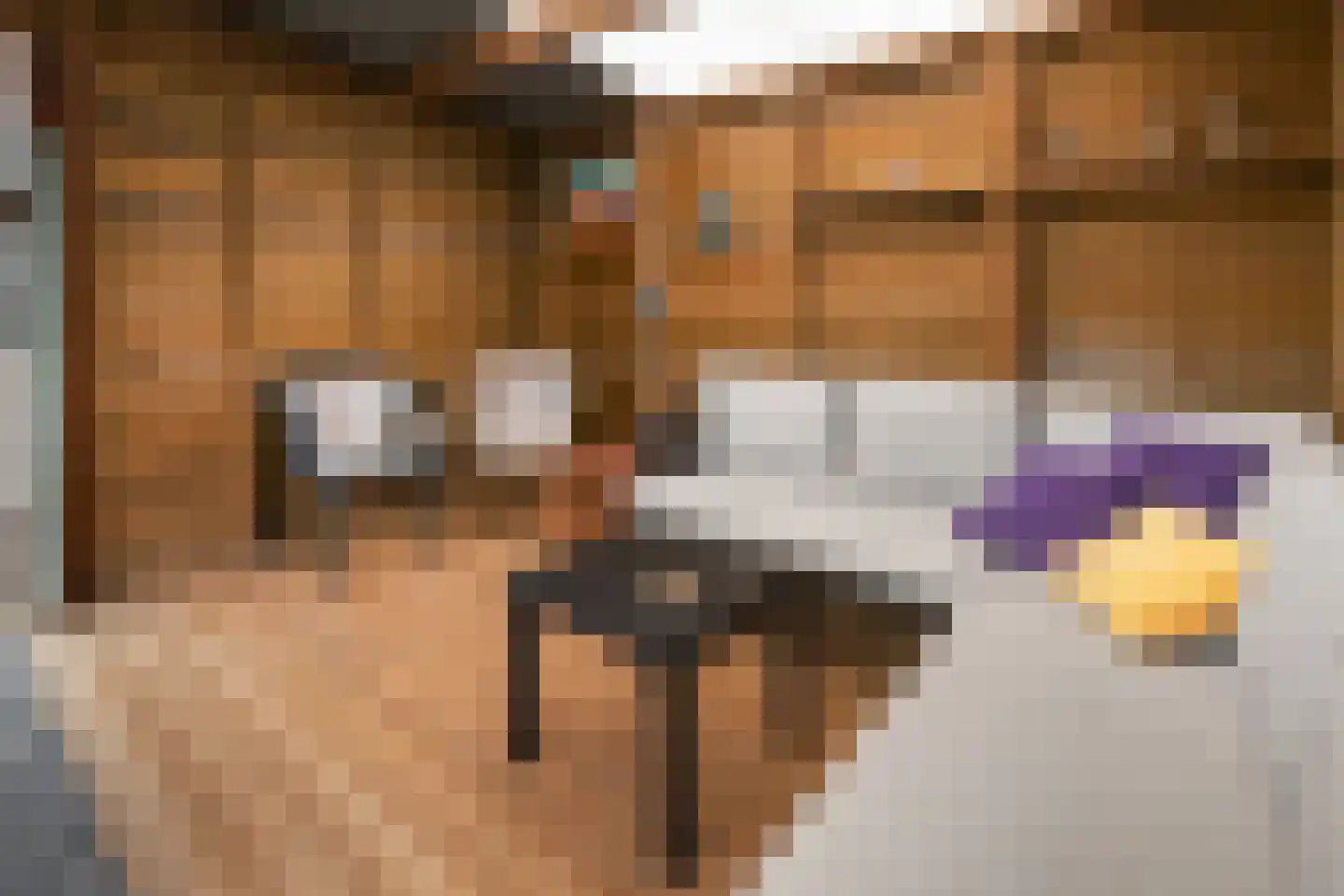 Molenerven 13 Lierderholthuis thumbnail 43