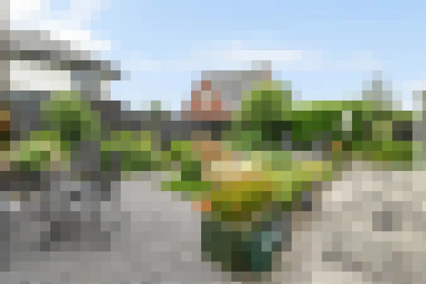 Molenerven 13 Lierderholthuis thumbnail 45