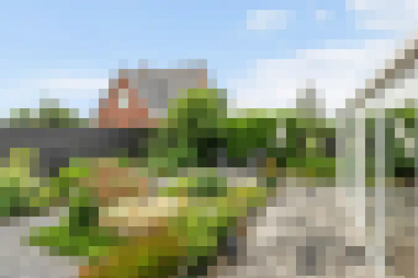Molenerven 13 Lierderholthuis thumbnail 46