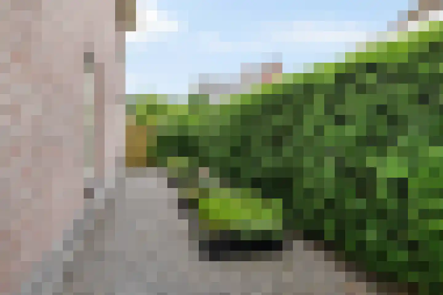 Molenerven 13 Lierderholthuis thumbnail 49