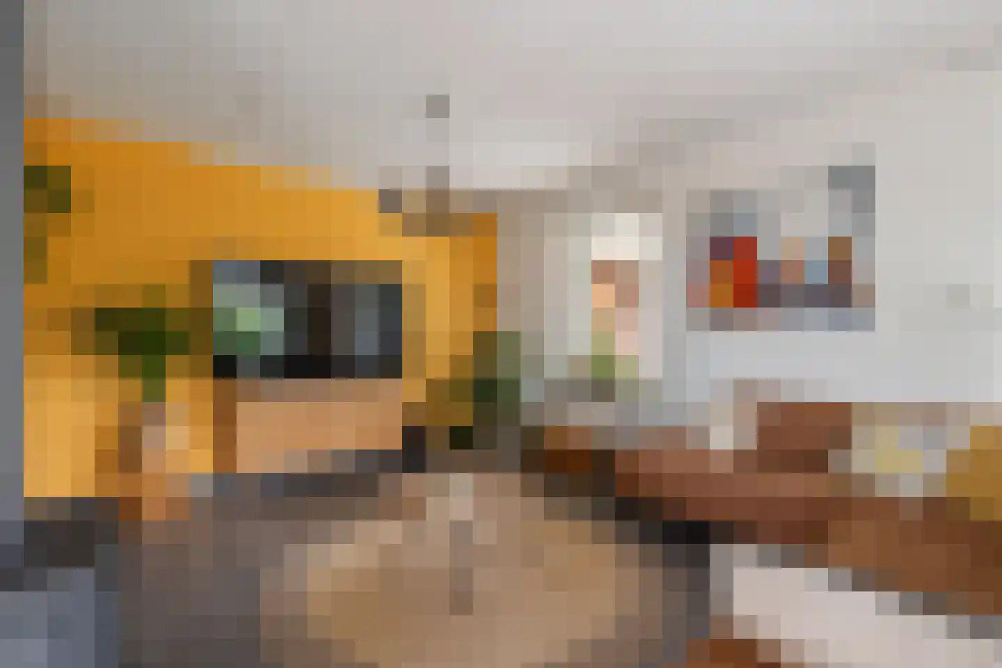 Molenerven 13 Lierderholthuis thumbnail 5
