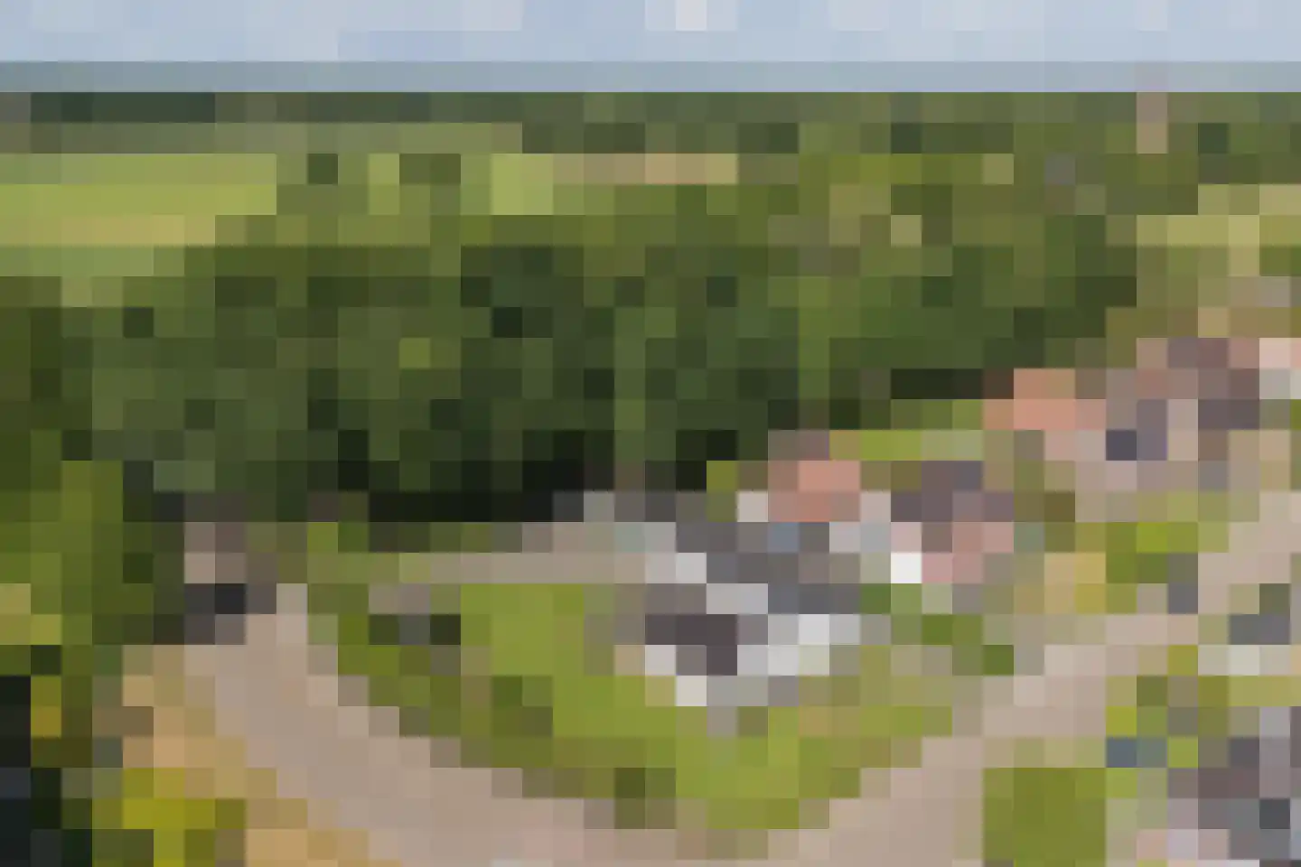 Molenesch 26 Delden thumbnail 10