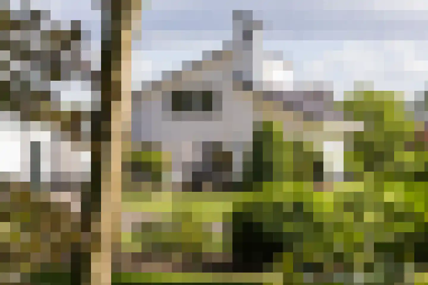 Molenesch 26 Delden thumbnail 11