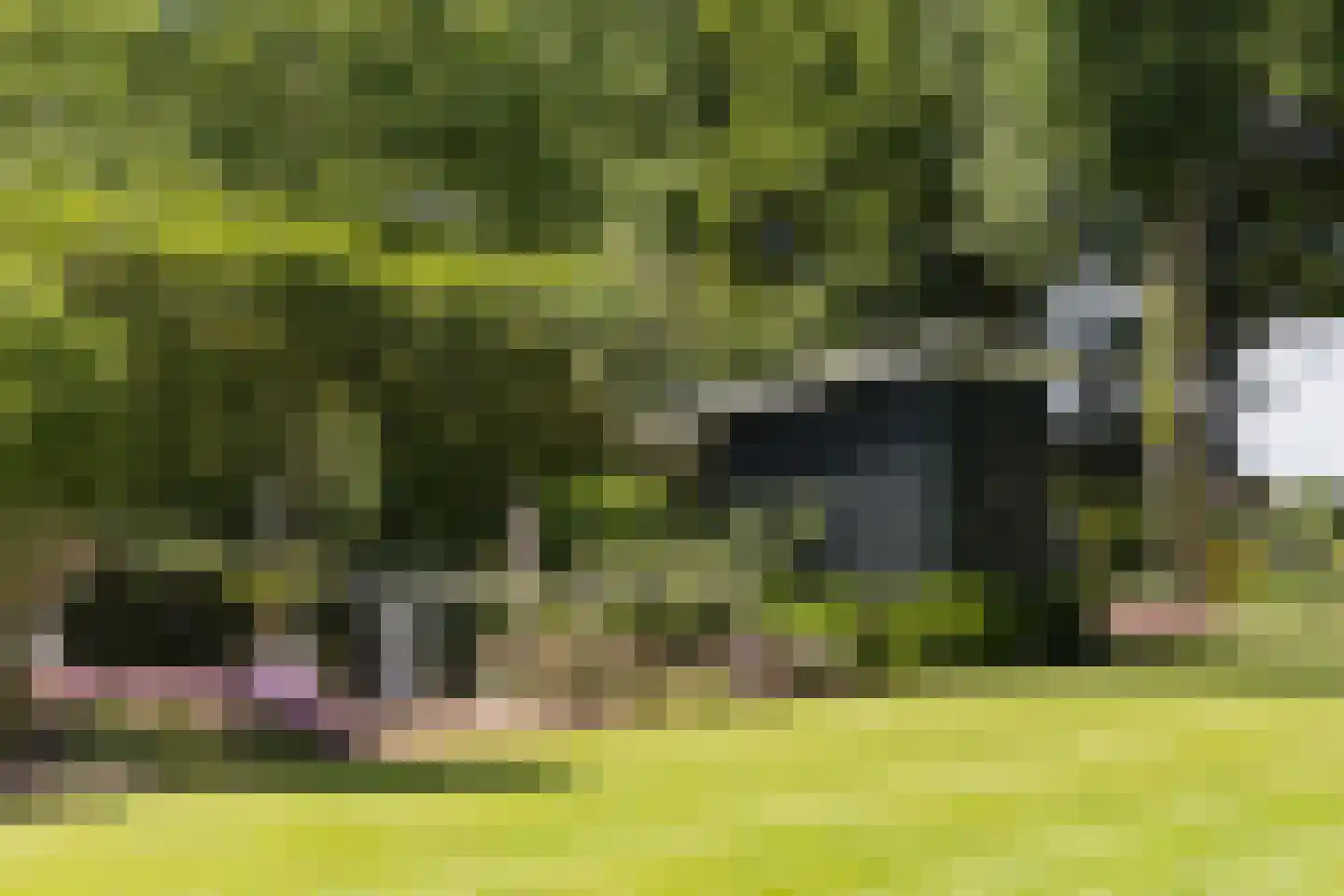 Molenesch 26 Delden thumbnail 46